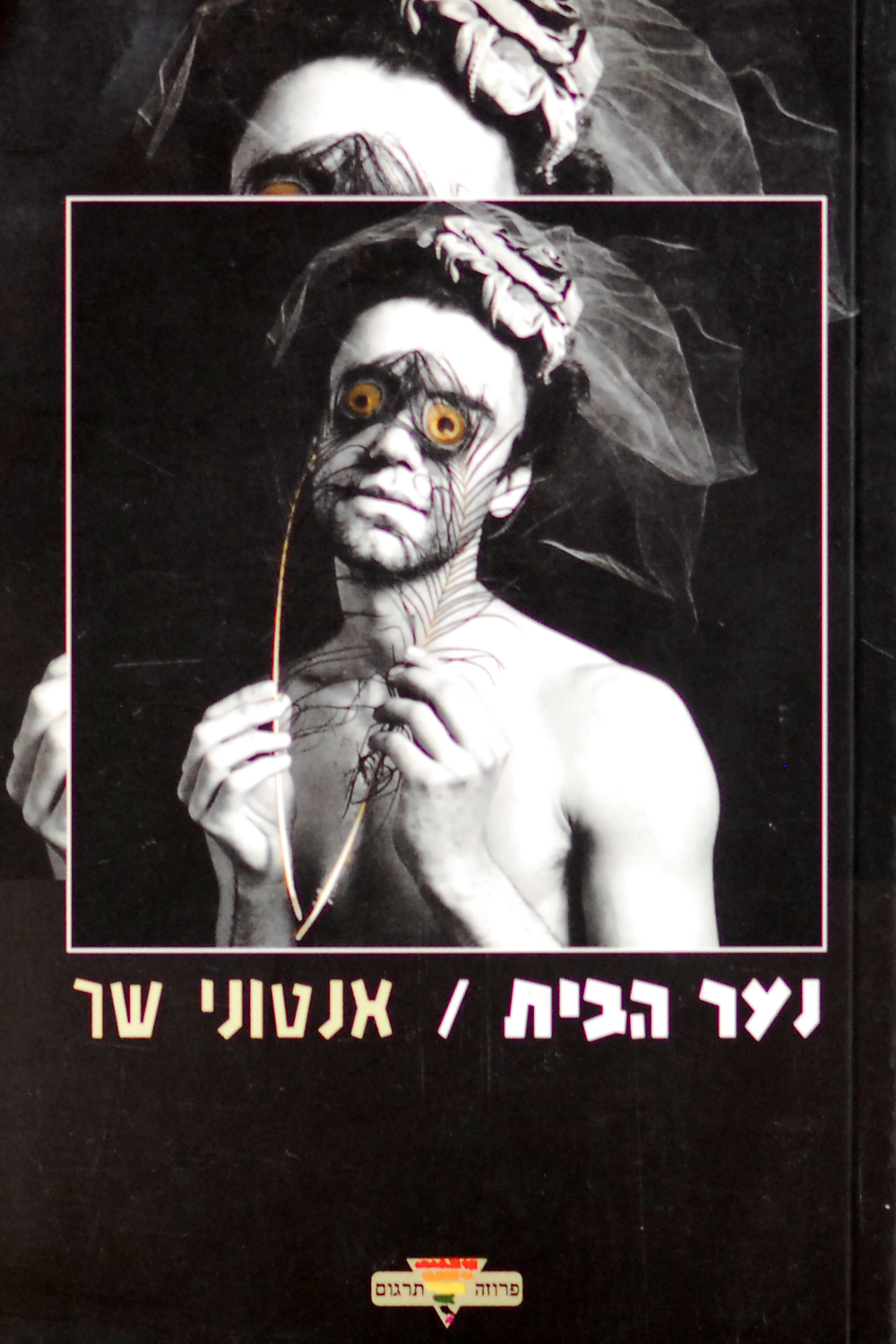 נער הבית