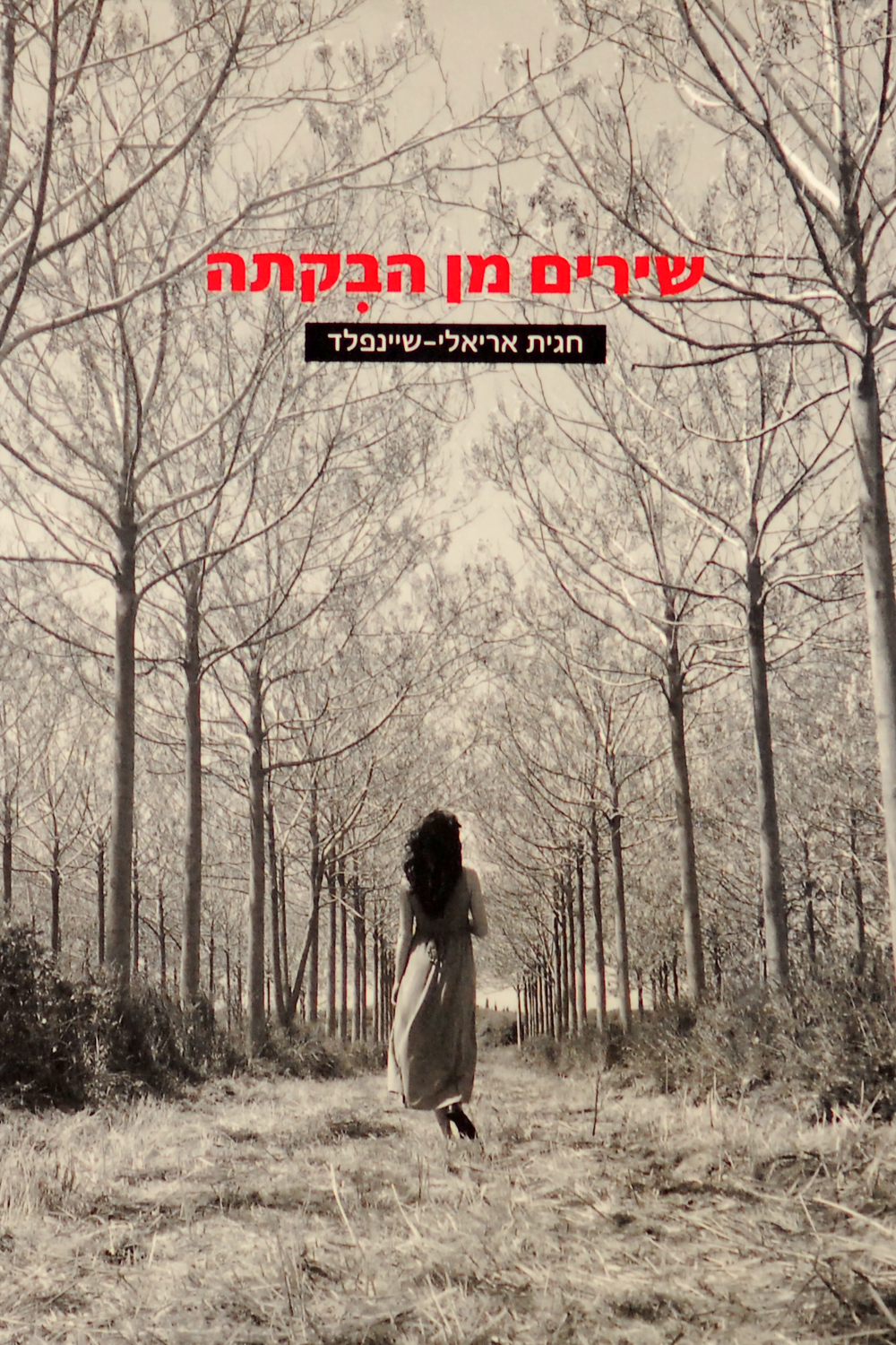 שירים מן הבקתה